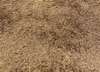 Carpet Sign Sauvage 60 vloerkleed - 200x300 - Materiaal