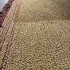 Cs Rugs Chalet vloerkleed - 300x200 - Zijaanzicht rechts