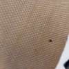 Auping Ronde poef - Materiaal
