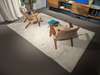 Kasthall Moss vloerkleed - 200x300 - Materiaal