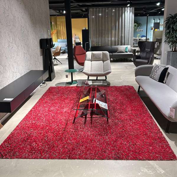 Millenerpoort Licasa vloerkleed - 235x300 - Showroom