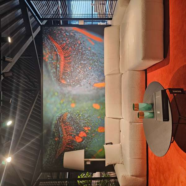 Baenks Cannaregio hoekbank - Showroom