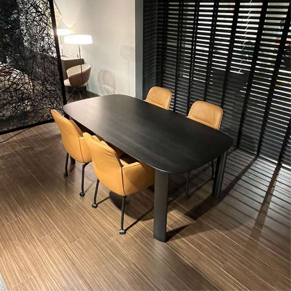 Leolux Tico eettafel - 200x100 met Gyon eetkamerstoel (set van 4) - Materiaal