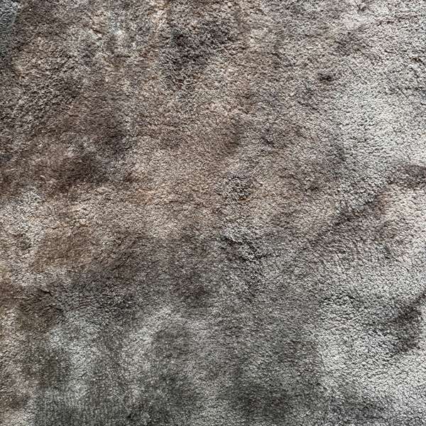 de Munk Carpets Suave vloerkleed - 250x300 - Showroom