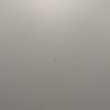 COR Conic eettafel - 190x107 - Materiaal