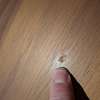 Montis Flint salontafel - Materiaal
