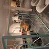 Artifort Wire room divider - Vooraanzicht