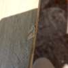 Leolux Liliom XL salontafel - Materiaal