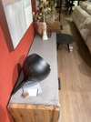 Henders & Hazel Maitre Lowboard tv-meubel - Showroom