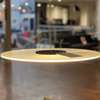 Ferrolight Ghost Disc hanglamp - Materiaal
