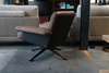 de Sede DS31-101 fauteuil - Materiaal