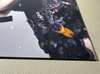 Montel Mystery wanddecoratie - Materiaal