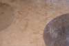 Rolf Benz Tegola vloerkleed - 250x200 - Materiaal
