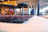 CS Rugs Forêt vloerkleed - 200x300 - Details
