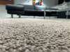 Aventura Carpets Nalesco vloerkleed - 400x400 - Materiaal