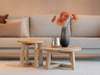 RT Design set Bayonne salontafel (set van 2) - Materiaal