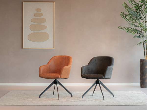 RT Design Alcon eetkamerstoel (set van 2) - Materiaal