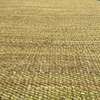 Brinker Carpets Festival Jute Slam Green - 200x290cm vloerkleed - Materiaal