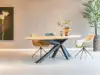 RT Design Le Mans eettafel - 260x100 - Showroom