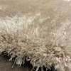 Brinker Carpets Puglia Gardenia vloerkleed - 160x230 - Materiaal