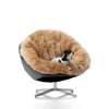de Sede DS-265/01 Coco fauteuil